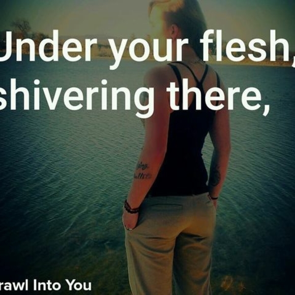 Meet your Posher, Lacy - Picture 1 of 1